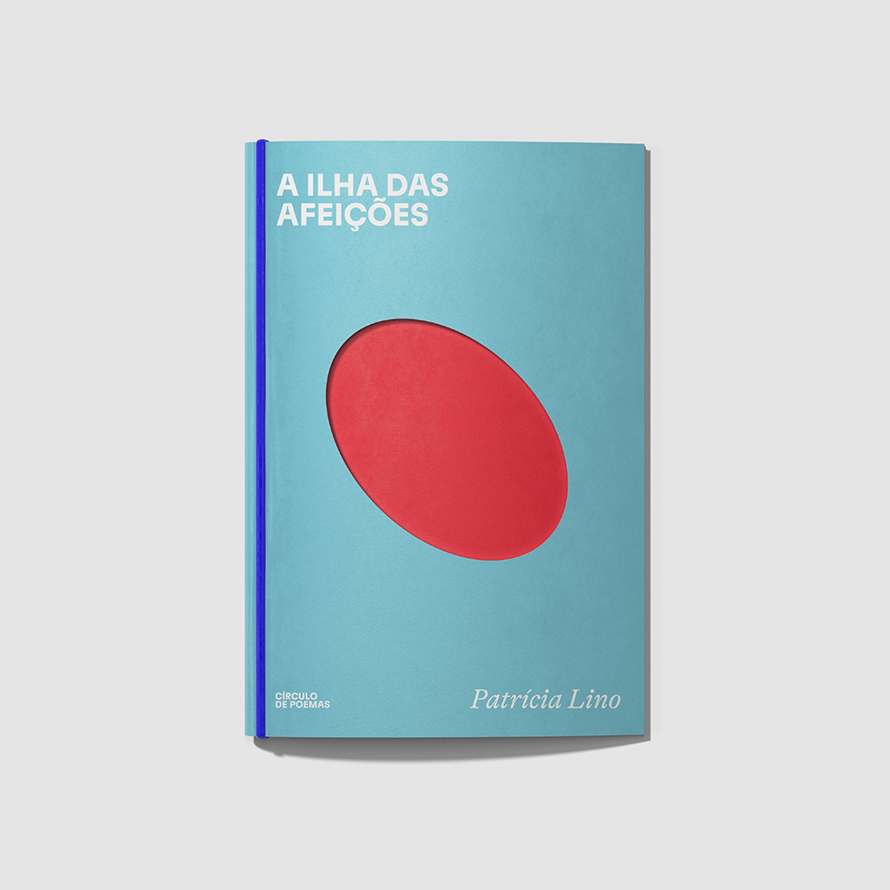 A Verdade Vos Libertará, por Gabriela Biló, Pedro Inoue e Medo e Delírio em  Brasília. Fósforo Editora, 2023.